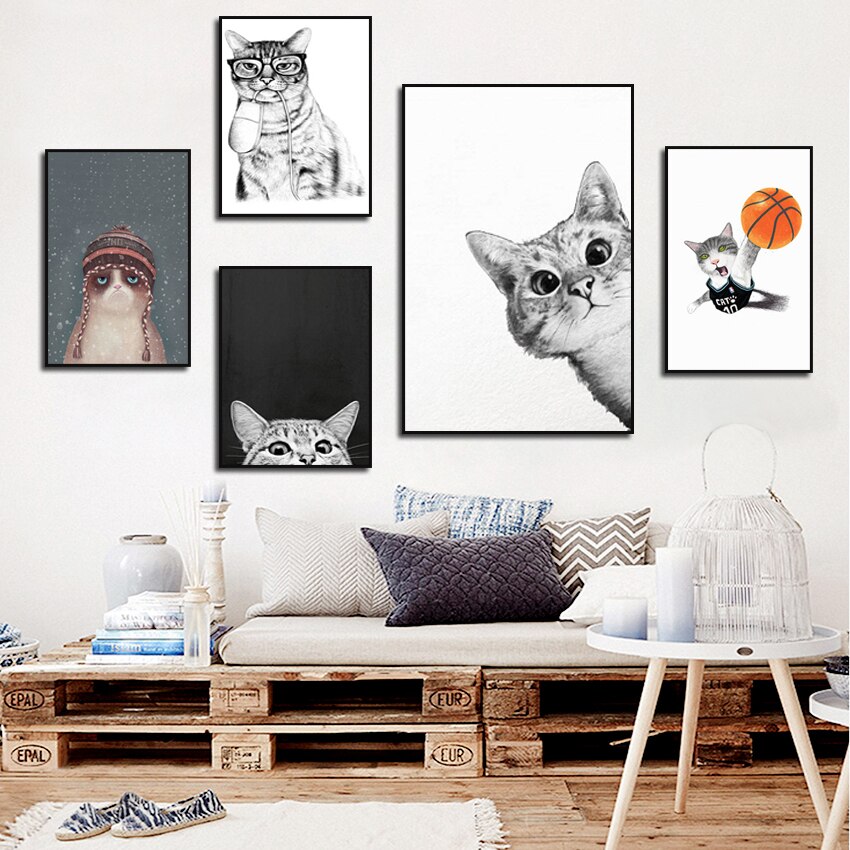 cat wall accessories